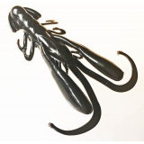 rush craw 2.8 003