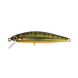 flat fly 50sp #shinning tiger