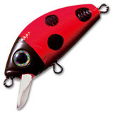 l-minnow 33f  f955#ten
