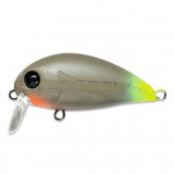 hypnose 38f-ssr #15m
