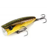 ZBL popper #311